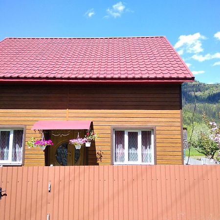 Відпочинок У Карпатах, Мінеральні Ванни, Банний Чан! Pensionat Verkhnyaya Bystra Exteriör bild